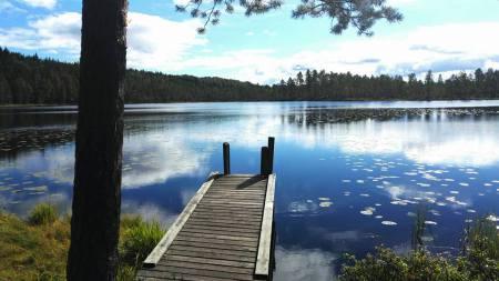 "Luonnossa liikkuminen herättää positiivisuutta - opiskelijoiden kehollisia kokemuksia.