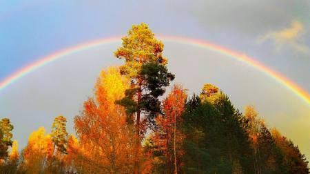 Johtopäätökset Opiskelijoiden havainnot kehollisista kokemuksista voidaan jaotella eletyn kehon ja objektikehon kokemuksiin.