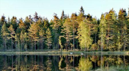 Teoreettista taustaa Lähtökohtanamme on ajatus siitä, että kehollisten kokemusten havaitsemisen ja sanallistamisen eli reflektoinnin kautta on