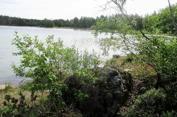 Iltaretki Haunisten altaalle torstaina 25.4.2019 klo 18 Kokoontuminen klo 17.