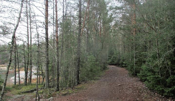 Jäsenlehdessä 2-2018 on Salme Kangassalon kirjoitus ja kuvia.