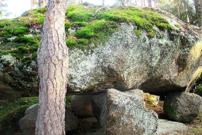 Mälikkälä-Kuninkojan alueen ikimetsästä luonnonsuojelualue Teksti Elli Narvi, kuvat Kaija Virtanen Raisionjokilaakson luonnonsuojeluyhdistys on mukana kansalaisaloitteessa, jossa ehdotetaan Turun ja