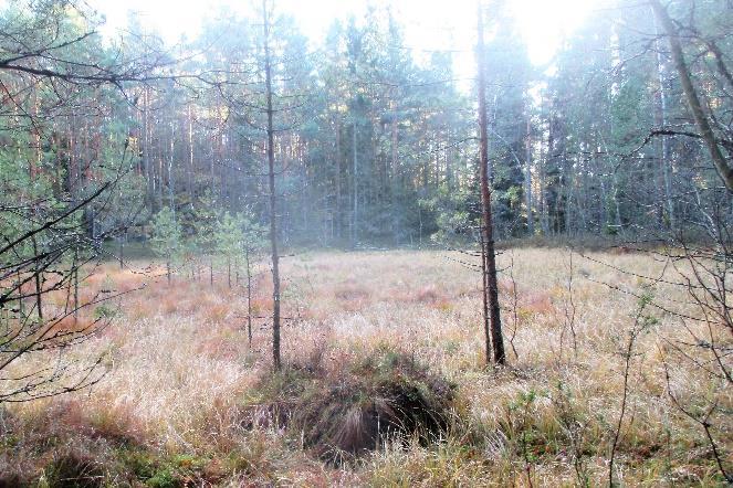 Kansalaisaloitteen on tehnyt yhteistyössä joukko raisiolaisia ja turkulaisia yhdistyksiä ja järjestöjä.
