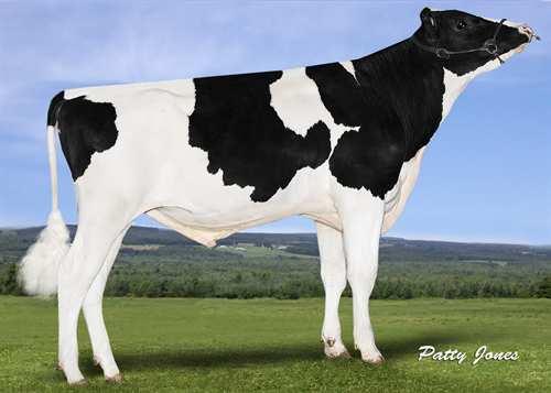 Adagio-P STANTONS ADAGIO 0200HO10661 POWERBALL-P x MCCUTCHEN x OBSERVER VIEW-HOME POWERBALL-P STANTONS MCCUTCHEN 1174 AGREE VG-88-4YR-CAN DE-SU BKM MCCUTCHEN 1174 STANTONS OBSERVER EXTREME