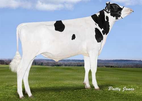 Archimedes STANTONS ARCHIMEDES 0200HO10636 SILVER x MCCUTCHEN x OBSERVER SEAGULL-BAY SILVER STANTONS MCCUTCHEN 1174 AGREE VG-88-4YR-CAN DE-SU BKM MCCUTCHEN 1174 STANTONS OBSERVER EXTREME