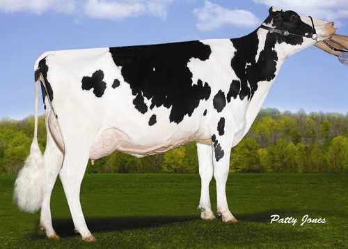 Eagle BOLDI EAGLE 0200HO10540 ASCEND x MERIDIAN x MAN-O-MAN SILVERRIDGE ASCEND BOLDI V MERIDIAN ESTER SULLY HART MERIDIAN CALBRETT MANOMAN ESTER EX-90-6YR-CAN 3* LONG-LANGS OMAN OMAN WABASH-WAY EVETT