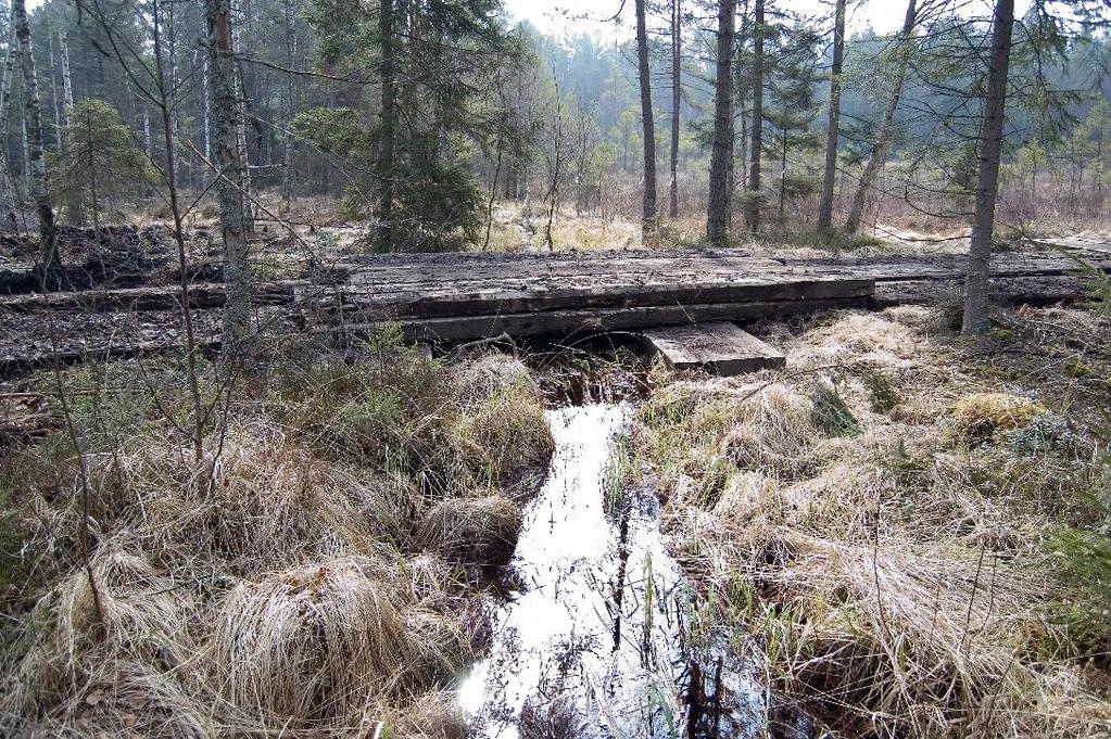 Kuva 5. Esimerkki tilapäisestä sillasta. Kuvaaja Eva Ring. 8. Lisätietoja WAMBAF-hankkeesta Lisätietoja WAMBAF-hankkeesta löytyy seuraavalta www-sivulta: https://www.skogsstyrelsen.