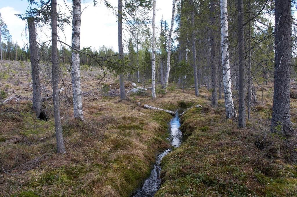 Käsitteet Tässä raportissa käytetyt käsitteet selityksineen: Vesistöllä tarkoitetaan sekä makean veden altaita eli järviä ja lampia sekä virtaavan veden uomia eli jokia, puroja ja noroja.