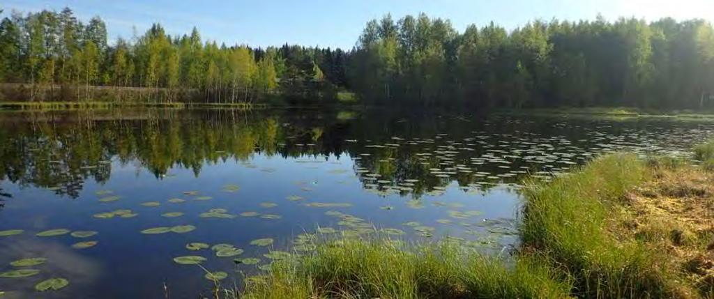 kosteikkolintulajeja. Pellon ja rannan välisellä vyöhykkeellä havaittiin uhanalaisen taivaanvuohen reviiri. Pensaikko- ja avoluhta-alueilla pesivät mm.