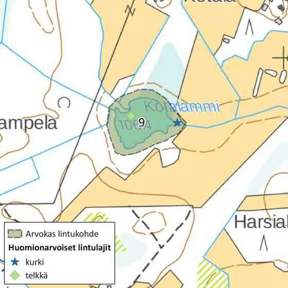 Alueella pesii useita uhanalaisia ja silmälläpidettäviä lintulajeja: mm.