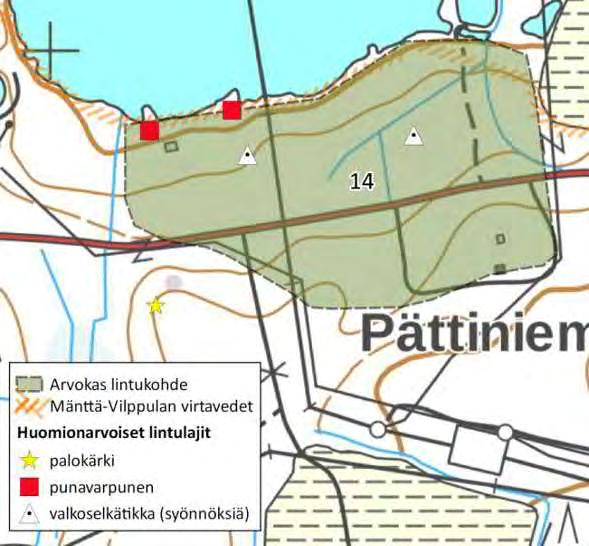 Pesimälajistoon kuuluvat useiden parien voimin ainakin uhanalainen pajusirkku, ruokokerttunen, punavarpunen ja telkkä.