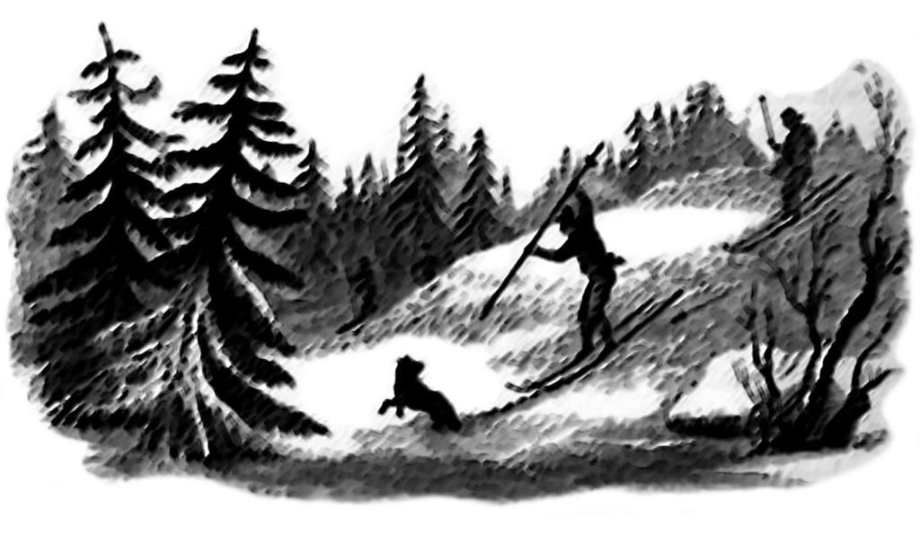 Metsästäjä käyttää yhtä sauvaa, jonka päässä on keihään kärki. Vanhat sauvat Hiihtäminen onnistuu myös ilman sauvoja tai yhdellä sauvalla.