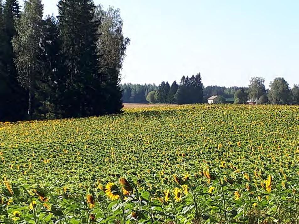 Kiitos!