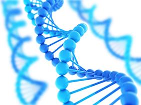 Vieras/muunneltu DNA viedään solulinjaan ja solu alkaa tuo+aa sen koodi+amaa proteiinia Yleensä