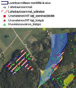 norjantorvijäkälä) sekä useita huomionarvoisia kääpälajeja Vanhan metsän alue, jossa