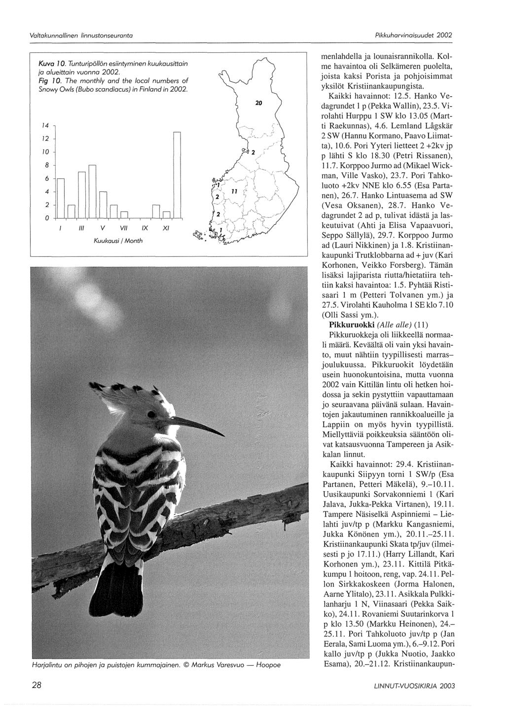 Kuva 10. Tunturipöllön esiintyminen kuukausittain ja alueittain vuonna 2002. Fig 10. The monthly and the local numbers af Snowy Owls (Bubo scandiacus) in Finland in 2002.