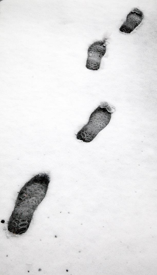 Laatiminen ja päättäminen 12 vuoden ohjelma, joka sisältää valtion ja kuntien toimenpiteitä Valtion rahoitusohjelma, skenaariot Parlamentaarinen ohjaus Tiivis yhteistyö alueiden ja