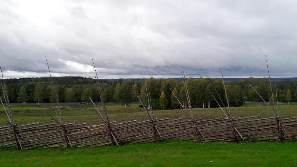 6 Maisemat Syksyllä 2018 valittiin neljännen kerran Vuoden maisemateko.