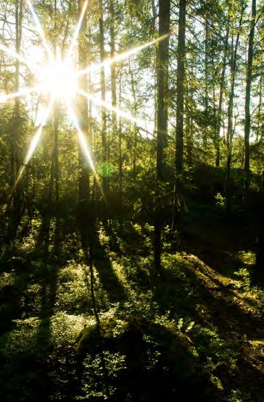 43 Olemme sitoutuneet ehkäisemään metsäkatoa. Vuoden 9 tammikuussa Neste sai metsäkatoriskien hallintaan liittyvistä toimista CDP Forests -ohjelman johtavien yritysten Leadership-statuksen.