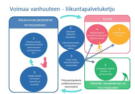 Voimaa vanhuuteen liikuntapalveluketju on osa maakunnan ja kuntien yhdyspintapalvelua Yhteistyömenetelmät Alueelliset seminaarit