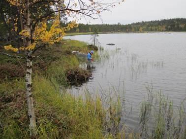 hyvä ja aiemmin hyvään tilaan luokittunut yhdistelmä A1K4L1 luokittui luokkaan erinomainen. Tyypille ominaisten taksonien luokitteluun vertailujärvien kokoonpano ei käytännössä vaikuttanut.
