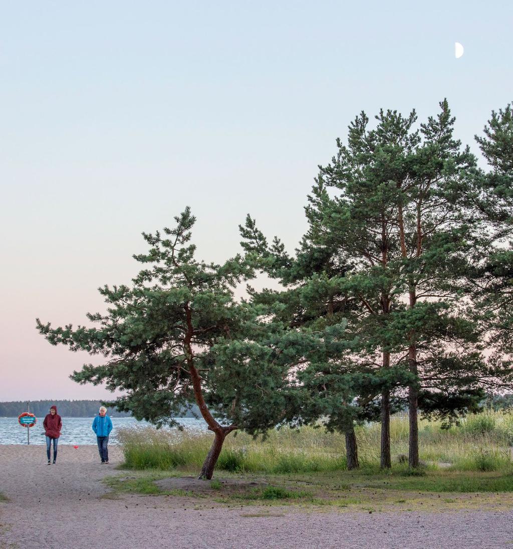 Uusimaa-kaava 2050: KAHDEKSAN NATURA 2000 -ALUEEN NATURA- TARVEHARKINTA