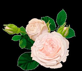 Ruusuhäät Loviisassa Lauantaina vietetään kaikille avoimia ruusuhäitä. loviisanwanhattalot.fi Garden Paradise 24. 25.8.
