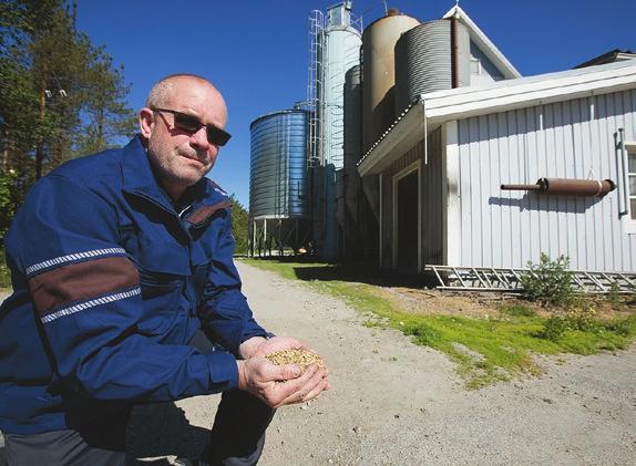 vustoista tulee tasaisempia ja puintityö helpottuu. Koska tilalla on yli sata lohkoa, lannoituksen suunnittelu hoidetaan tehokkaasti: kaikilla viljoilla lisälannoitus hoidetaan Yara N-Sensorin avulla.