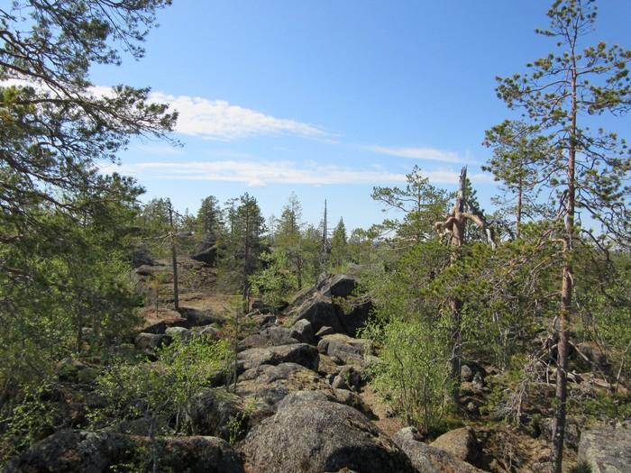 6 Kuva 7. Kirakkajuppuran lakialuetta kuvattuna etelään. Kuva 8. Näkymä Kirakkajuppuralta länteen. 6.