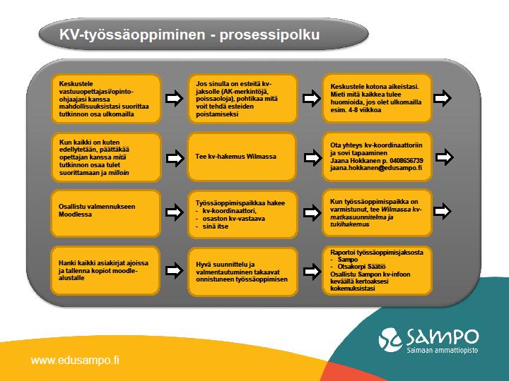 Kansainvälisen työssäoppimisen prosessipolku Opiskelijalle tarjotaan mahdollisuus (tilanteen mukaan) kotikansainvälistymiseen kansainvälisten ryhmien opastustehtävillä, osallistumalla Erasmus+