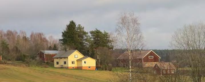 Pihapiiriin liittyy tyypillisesti osittain sementtitiilinen navetta tai talousrakennus, sauna, sekä