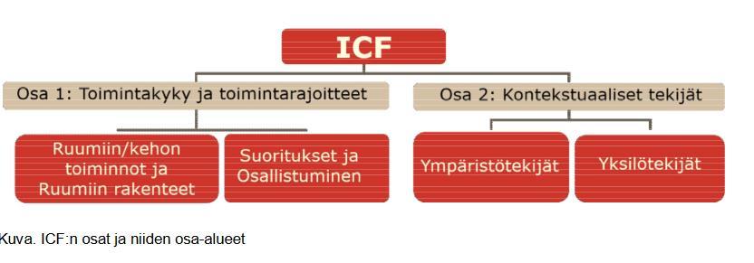 12 5. Lasten ja nuorten kuntoutuksen suositukset Tähän lukuun on koottu Suomen Lastenneurologisen yhdistyksen 2015 laatima ohjeistus lasten ja nuorten kuntoutuksen linjauksista.