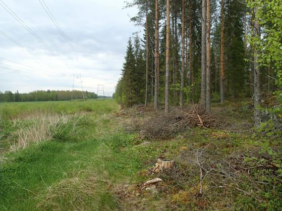 2013 selvityksen mukaan ei ole vanhoilta kartoilta (1800-l pitäjänkartat, isojakokartat jne.) paikannettavissa potentiaalisia muinaisjäännöksiä.