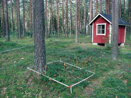 Figure 3. An open frame (1.41 x 1.41 m) is used in sites where trees or high vegetation are growing (Tammela_P Nr. 13 in 2000). (Photo: Maija Salemaa). Kuva 3.