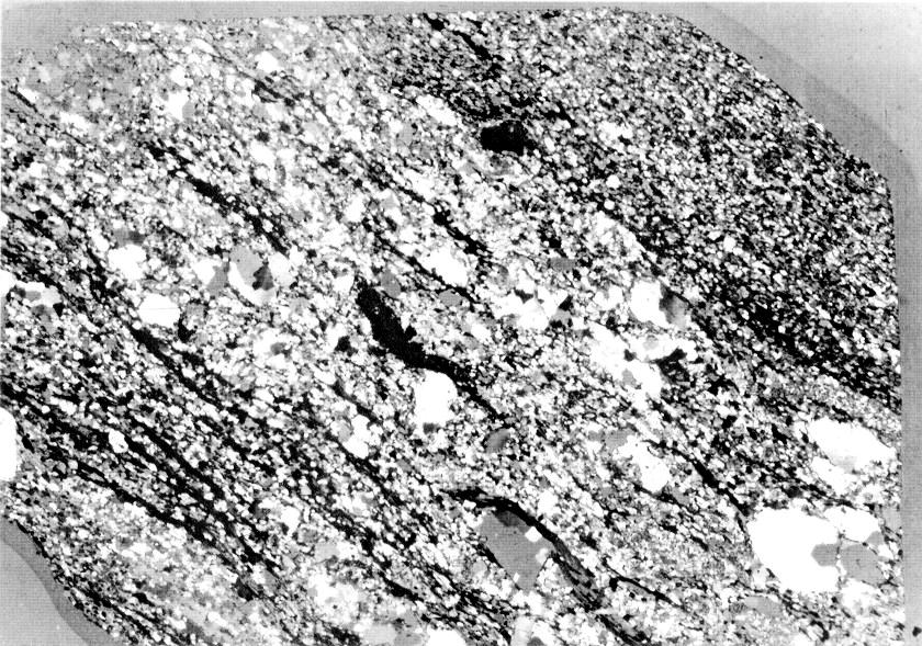 jossa on harvakseltaan makroskooppisesti erottuvia jyväsiä. NKK-83-74.1, Pentinneva, Seinäjoki; 2222 08, 6961.180, 2443.800 Kuva 9.