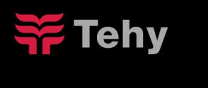 TEHYN HALLITUSOHJELMATAVOITTEIDEN