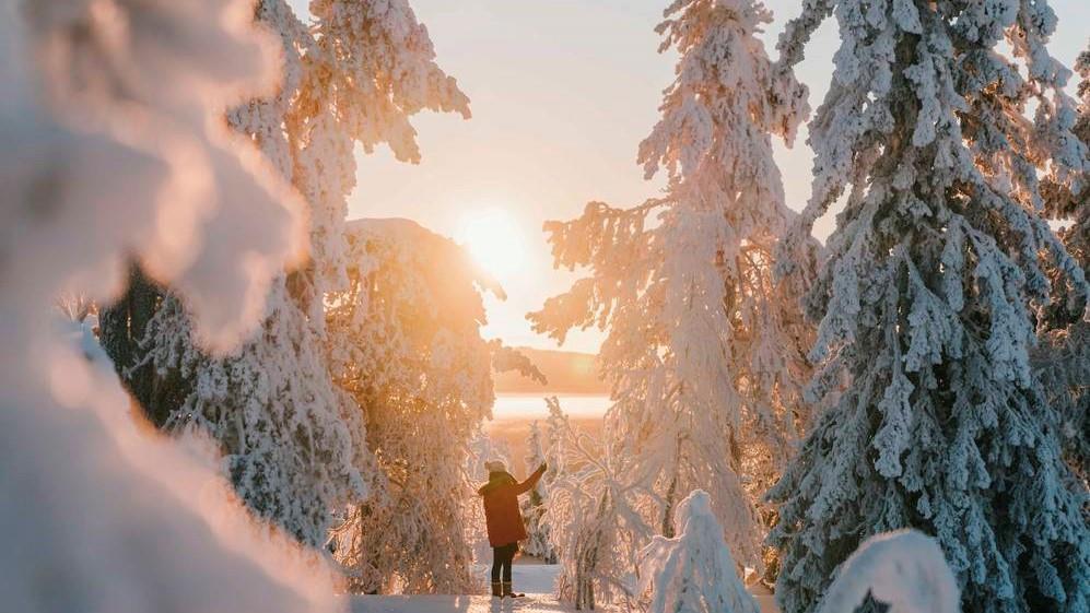 TALVIKAUSI 2017-2018 Joulukuu 2107 Helmikuu 2018 WHOLE COUNTRY Nights spent Change of nights spend, abs.