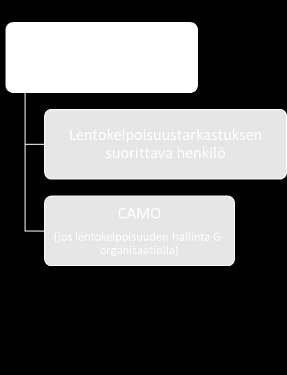 M.A.302(h) mukaisten huolto-ohjelmien vuosittainen tarkastus Kuka suorittaa tarkastuksen?