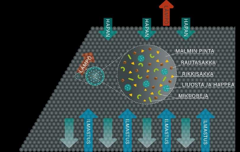 »Bioliuotuksessa mikrobit toimivat katalyytteina Bioliuotuksessa metallit liukenevat agglomeroidusta