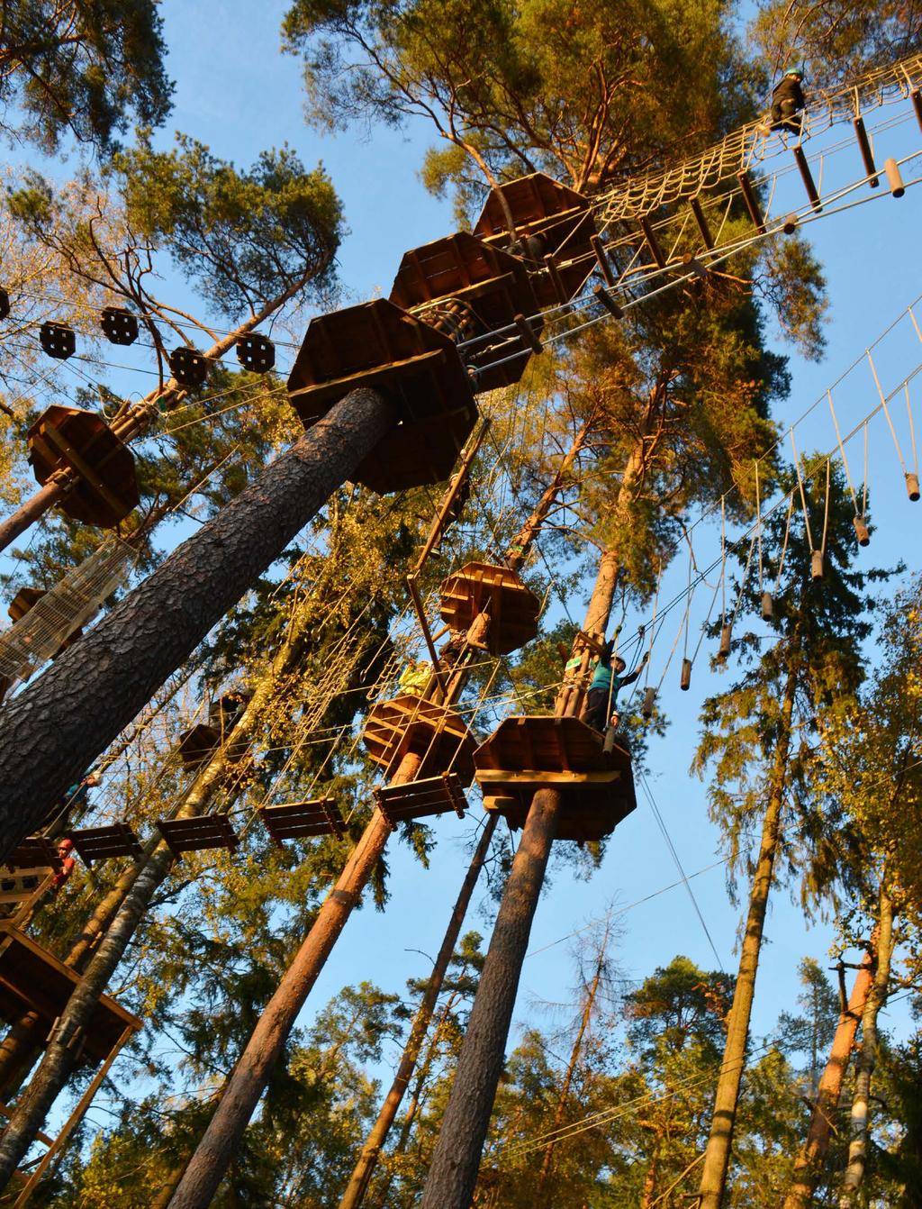TIIMITAPAHTUMA HUIPUSSA ON KOHOTTAVA ELÄMYS Seikkailupuisto Huipussa noustaan kiipeily valjaiden varassa 4 18 metrin korkeuteen mäntymetsän latvuksiin.