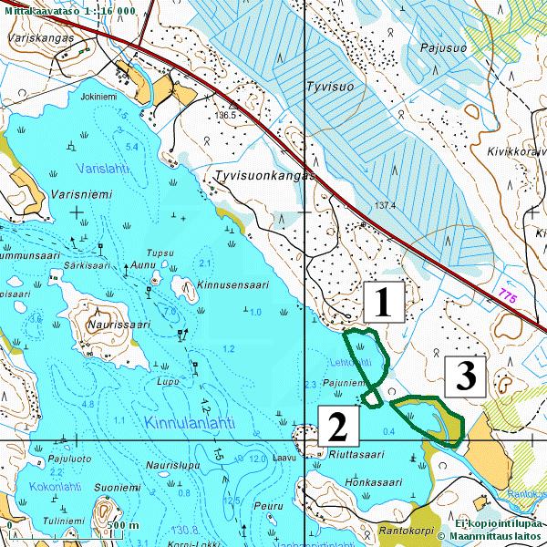 18 Pajuniemen kärki (kartta 8, kuvio 2) Kapean luhdan erottama saari, jonka latvuskerroksessa kasvaa haapaa ja koivua, alikasvoksen muodostavat kotipihlajat ja kuuset.