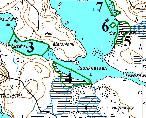 9 Juurikkasaaren luhta (kartta 3, kuvio 4, kuva 4) Laaja korteluhta, jossa kasvaa järvikortteen lisäksi saroja sekä viitakastikkaa, kurjenjalkaa ja luhtavillaa.