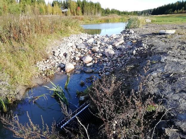 peruskuivatusta, kiinnittää huomiota virtaamaolojen säätelyyn ja luonnonmukaiseen tulvasuojeluun, sekä vähentää ravinnekuormitusta mekaanisilla ja kemiallisilla välineillä.