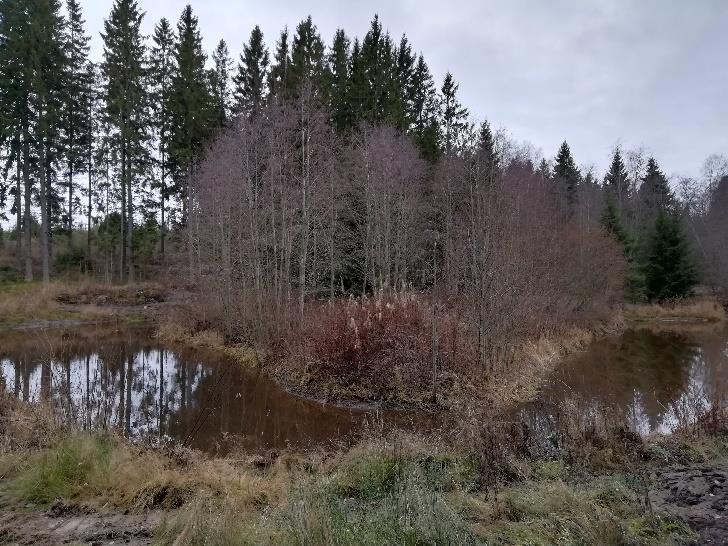 Allas tyhjennettiin kertyneestä lietteestä pitkäpuomisella kaivinkoneella.