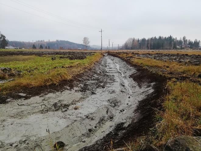 Virtaamaolojen säätely, luonnonmukainen tulvasuojelu, eroosiosuojaus Pyhäjärvi: Yläneenjoen sivuhaaran putkipato Yläneenjokeen laskevan ojan yläosaan rakennettiin metsätalouden vesiensuojelusta tuttu