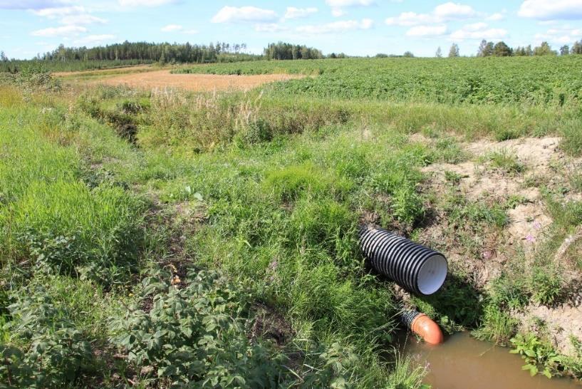 Kuva 7. Vaselmmalla putkipadon yläpuoli, oikealla putkipato alajuoksulta katsottuna.
