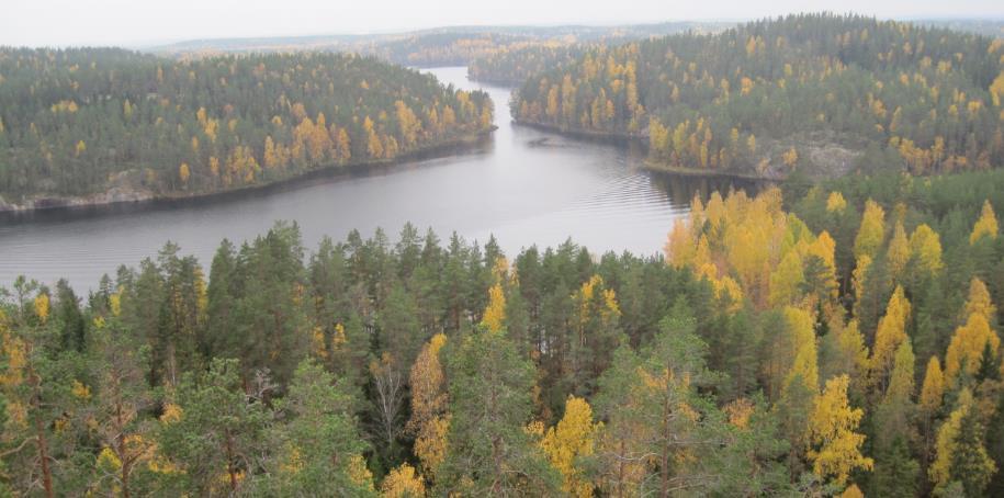 METSÄNHOITOYHDISTYKSEN TALOUS Toiminnallinen tulos Liiketoiminnan liikevaihto nousi edellisen vuoden 8,5 milj. eurosta 9,0 milj. euroon.