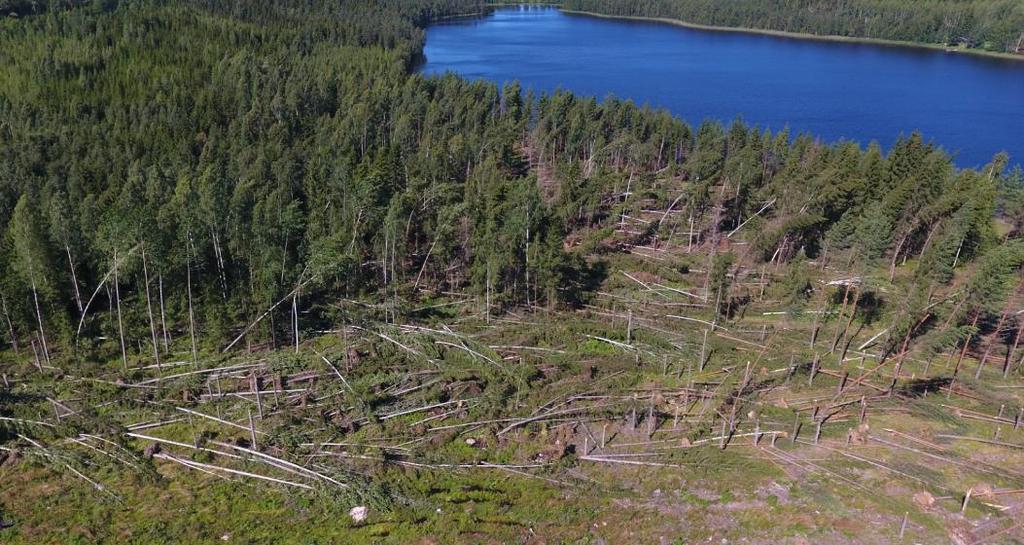 ennätyksellisesti yli 1300 hehtaaria