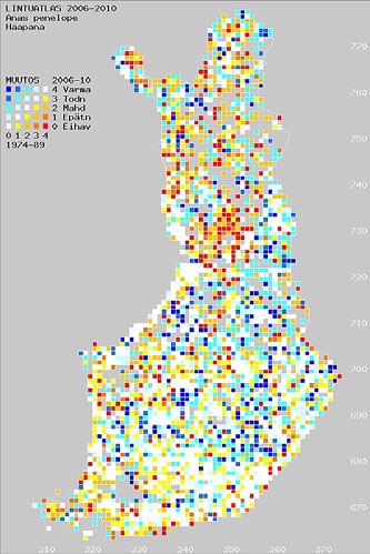 Vuosien 2006 2010 atlaskartoituksen mukaan pesimisvarmuus näyttää huonontuneen ja osa aiemmin varmoista pesimäruuduista tyhjentyneen etenkin Pohjois-Suomessa, mutta tulkinnassa tulee ottaa huomioon