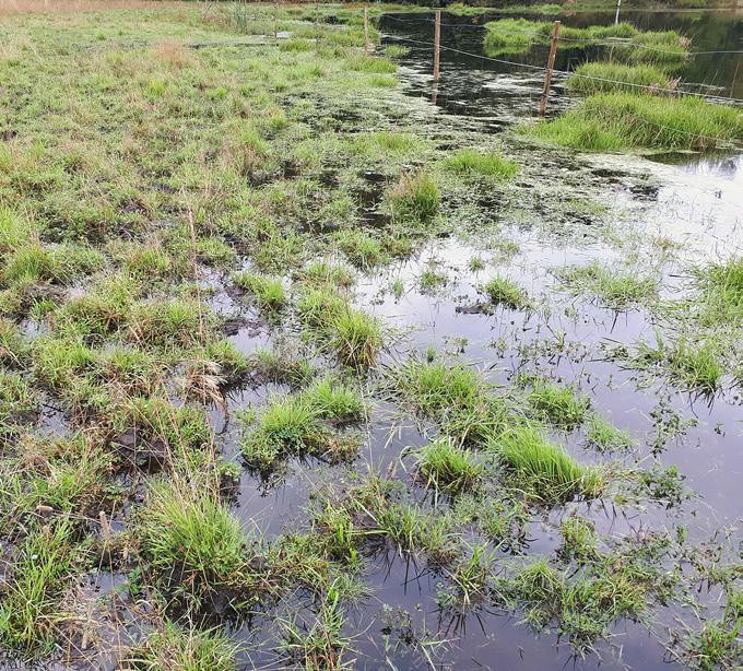 kemera-tuki metsäluonnon monimuotoisuutta edistäviin luonnonhoitohankkeisiin, leaderrahoitus rekisteröityneille yhdistyksille, makerarahoitus maatilatalouden kehittämisrahastosta